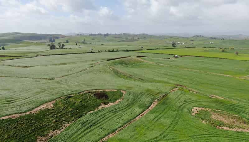1375 State Highway 3, Otorohanga