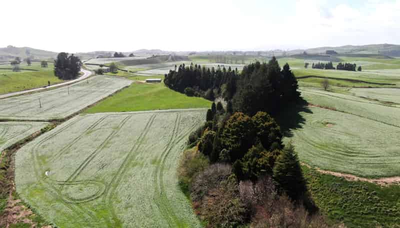 1375 State Highway 3, Otorohanga