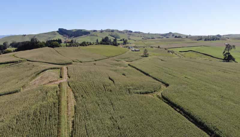 1375 State Highway 3, Otorohanga