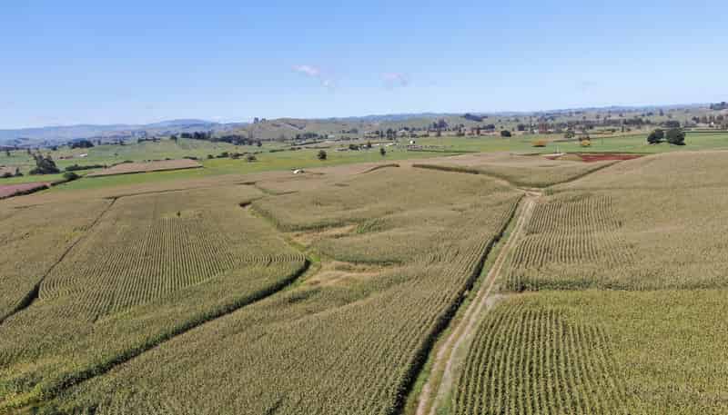 1375 State Highway 3, Otorohanga