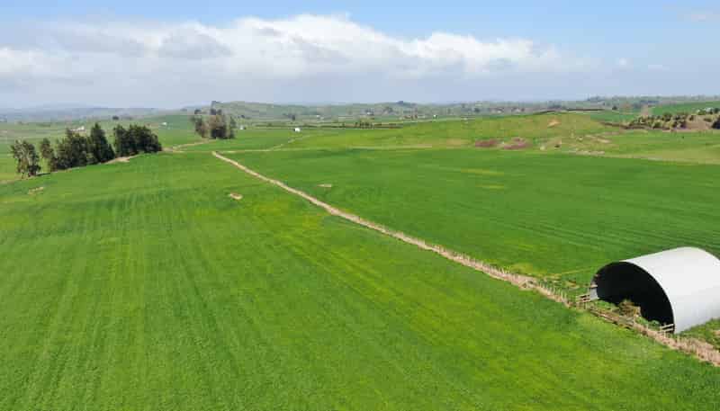1375 State Highway 3, Otorohanga