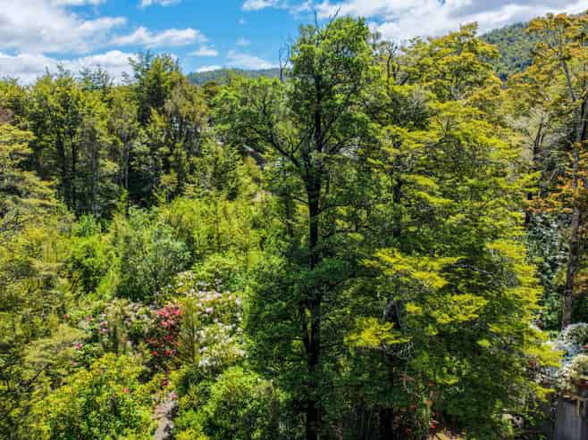  Kerr Bay Road, St Arnaud