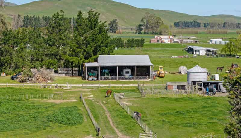 264 Paki Paki Road, Longlands