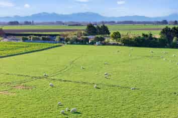 21 Dominion Road, Timaru Central