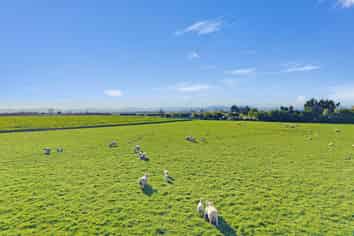 21 Dominion Road, Timaru Central