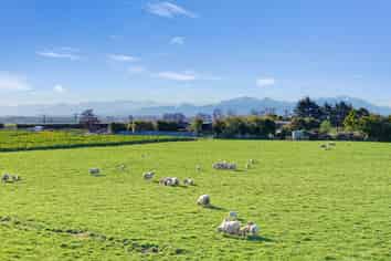 21 Dominion Road, Timaru Central
