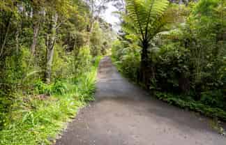 19 Hobson Road, Albany