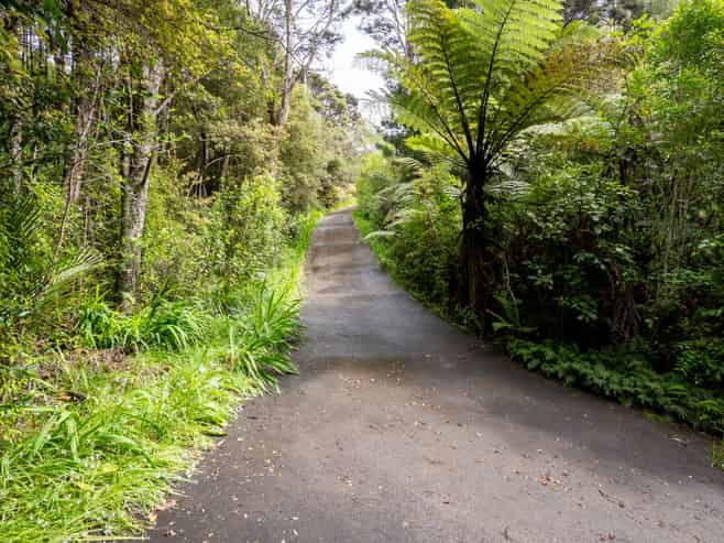 19 Hobson Road, Albany