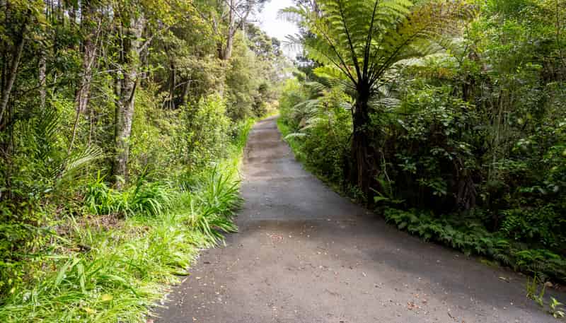 19 Hobson Road, Albany