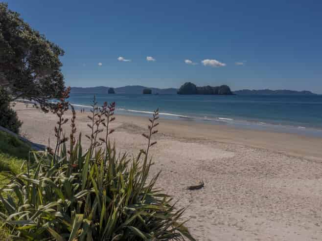 93 Grange Road, Hahei