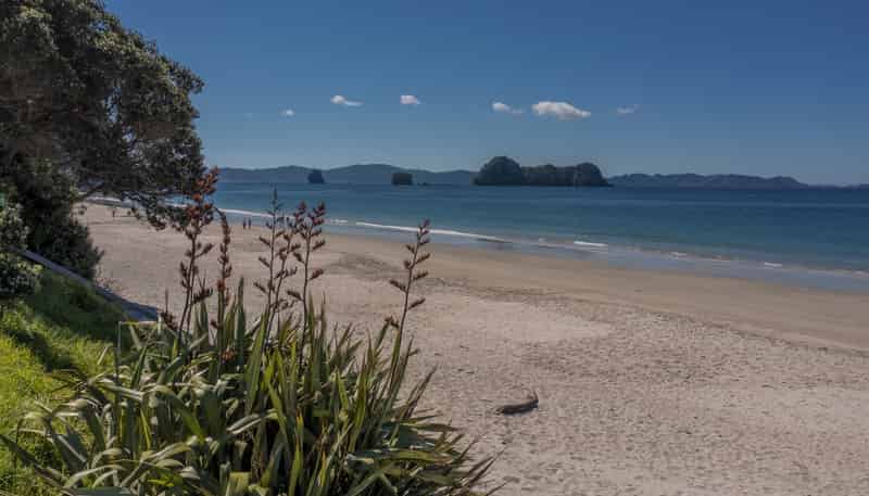 93 Grange Road, Hahei