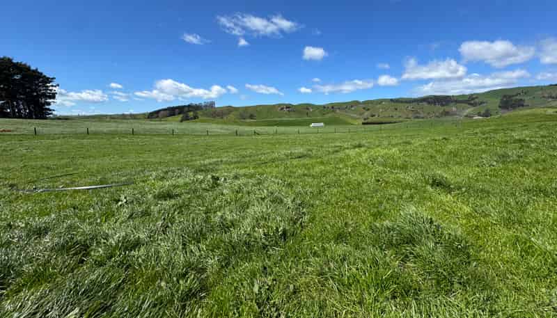 530 Mangatutu Rd RD3, Maihiihi