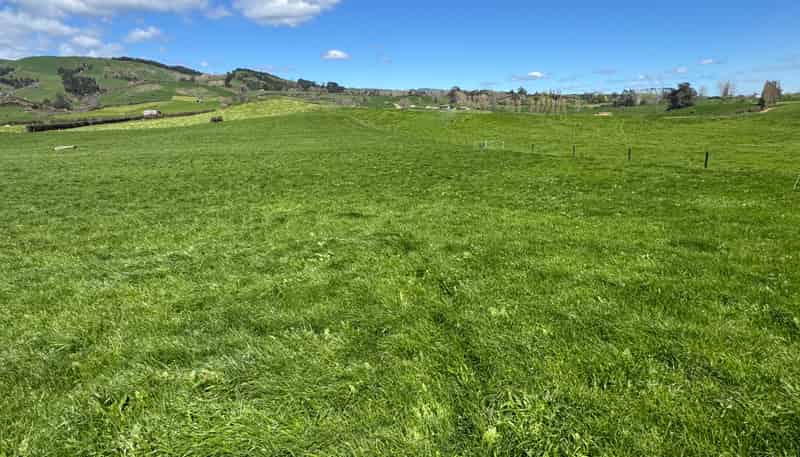 530 Mangatutu Rd RD3, Maihiihi