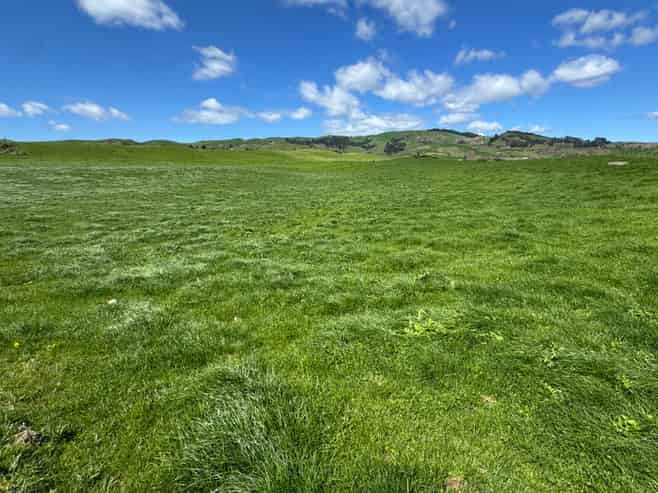 530 Mangatutu Rd RD3, Maihiihi
