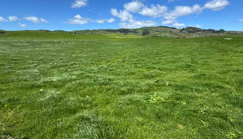 530 Mangatutu Rd RD3, Maihiihi