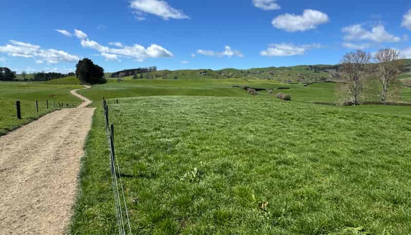 530 Mangatutu Rd RD3, Maihiihi