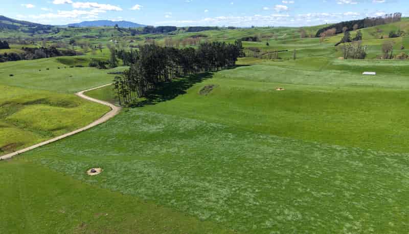 530 Mangatutu Rd RD3, Maihiihi