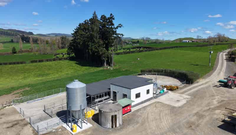 530 Mangatutu Rd RD3, Maihiihi