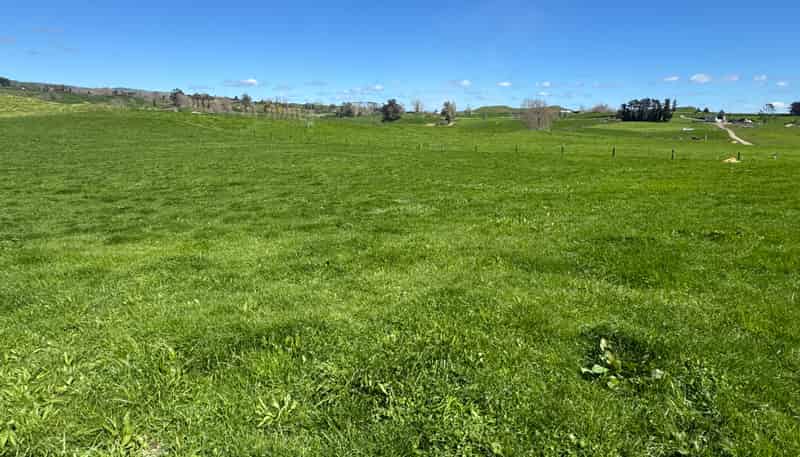 530 Mangatutu Rd RD3, Maihiihi