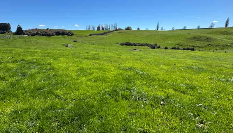 530 Mangatutu Rd RD3, Maihiihi