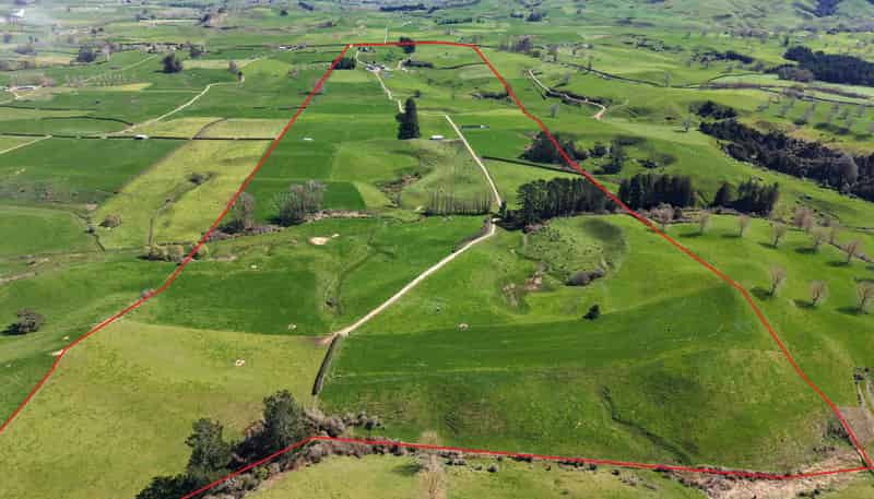 530 Mangatutu Rd RD3, Maihiihi