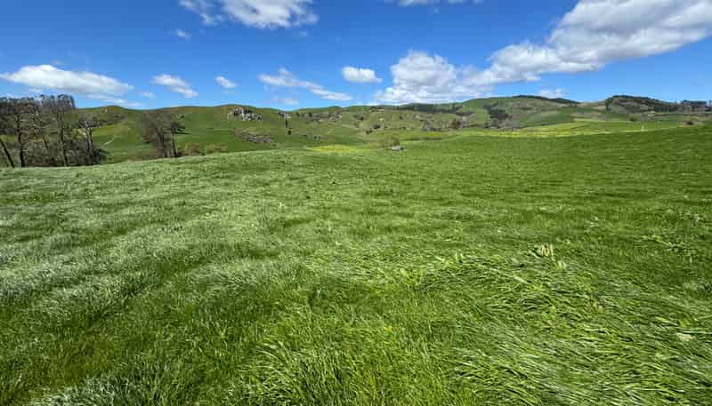 530 Mangatutu Rd RD3, Maihiihi