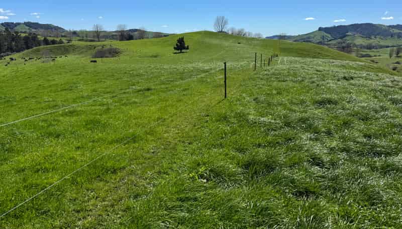 530 Mangatutu Rd RD3, Maihiihi