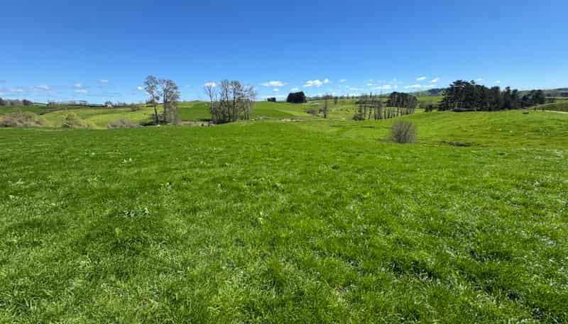 530 Mangatutu Rd RD3, Maihiihi