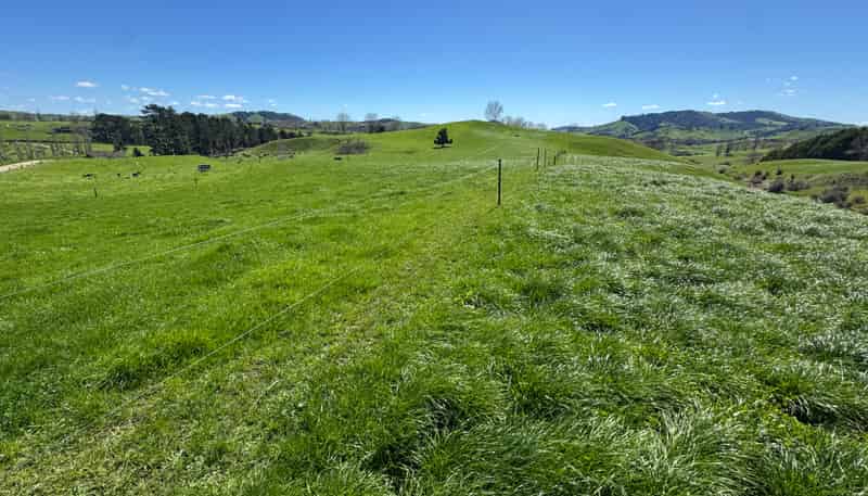 530 Mangatutu Rd RD3, Maihiihi