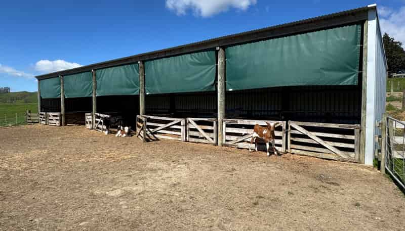 530 Mangatutu Rd RD3, Maihiihi