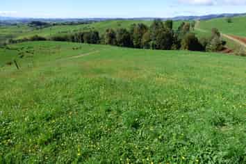 2229 State Highway 31, Kawhia Road, Otorohanga