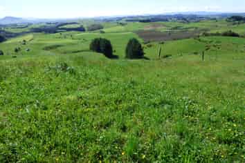 2229 State Highway 31, Kawhia Road, Otorohanga