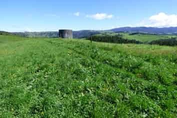 2229 State Highway 31, Kawhia Road, Otorohanga