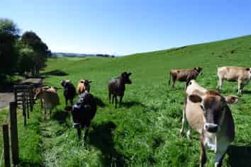 2229 State Highway 31, Kawhia Road, Otorohanga