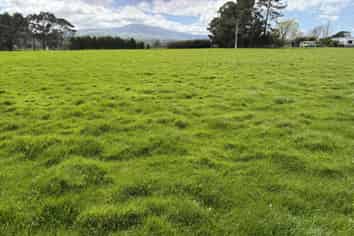 58 Troup Road, Woodville