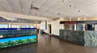 Open gallery
