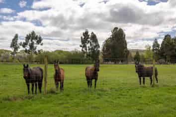 Lot 11, 0 Oven Hill Road, ROXBURGH