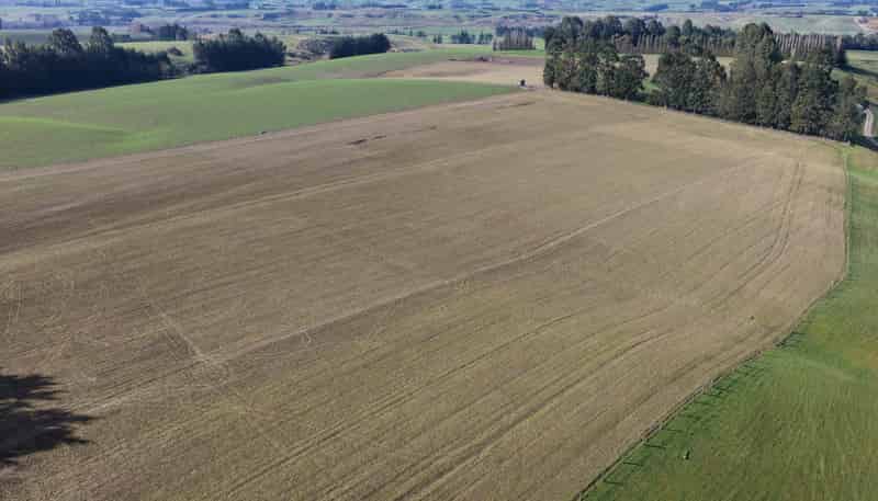 210A Milne Road, Gore
