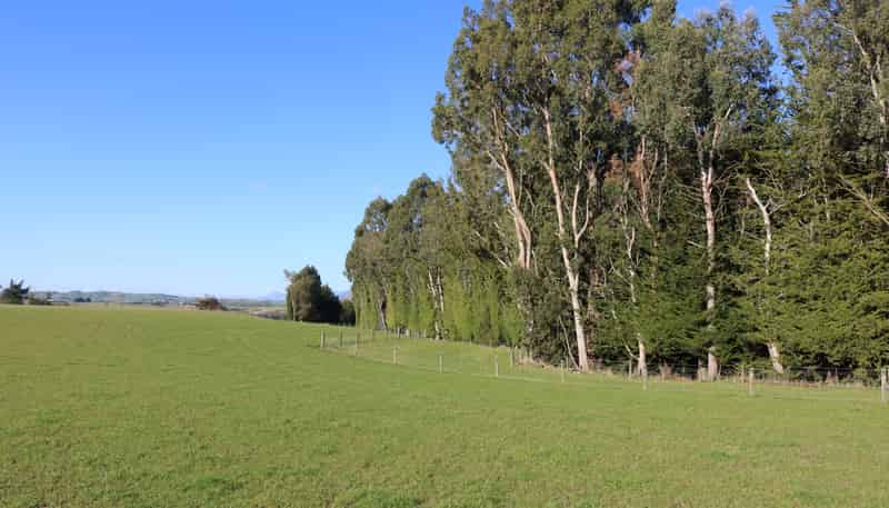 210A Milne Road, Gore