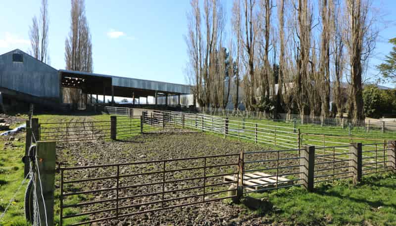 210A Milne Road, Gore