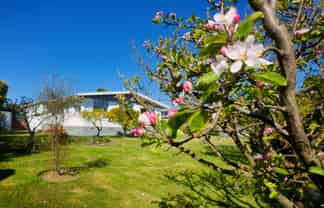 26 Hastings Street, Kaikoura
