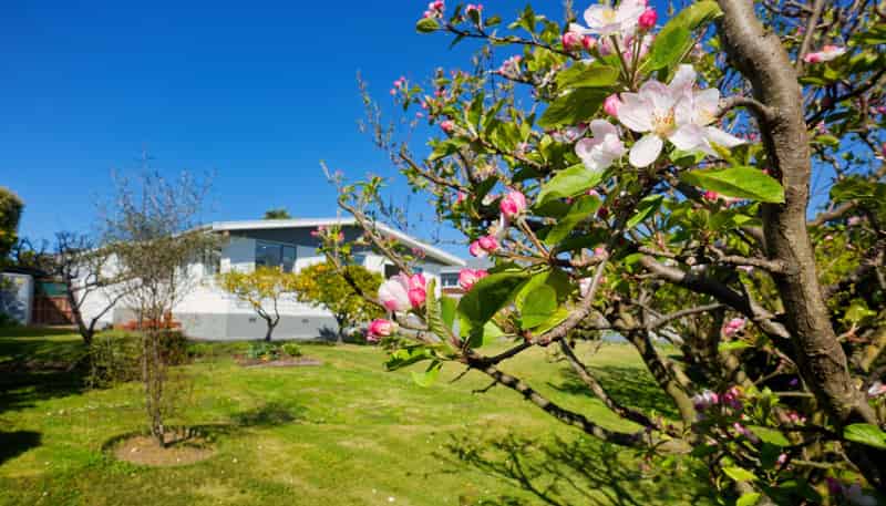 26 Hastings Street, Kaikoura