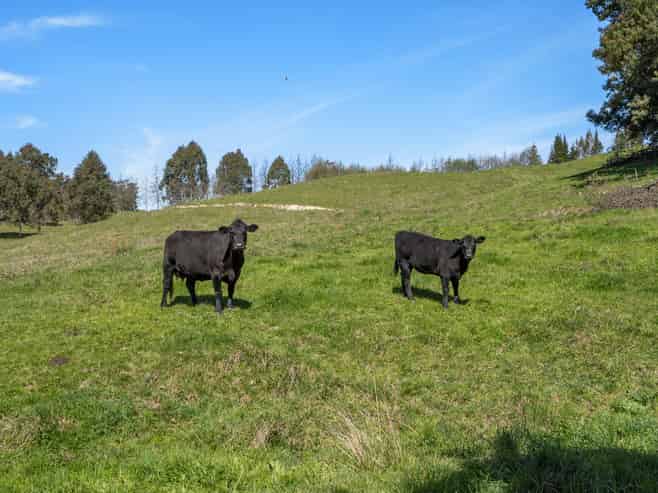 370 Rosedale Road, Upper Moutere