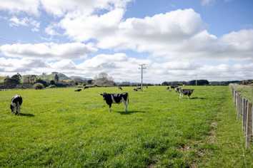 30 Mangahei Road, Dannevirke