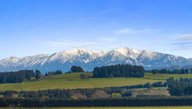 12 Davis Road, Cust