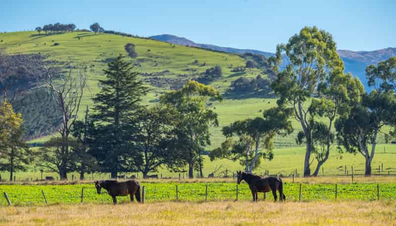124 Inglis Road, Okuku