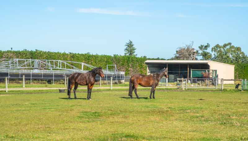 124 Inglis Road, Okuku