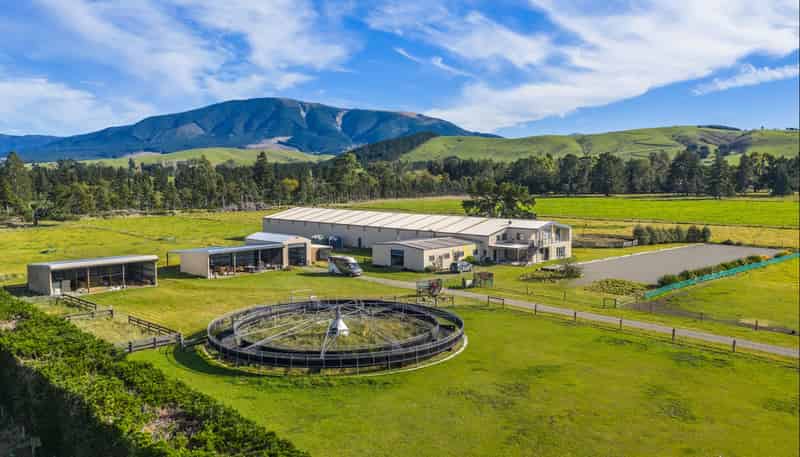 124 Inglis Road, Okuku