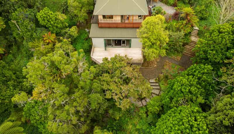 425A Carrington Street, Upper Vogeltown