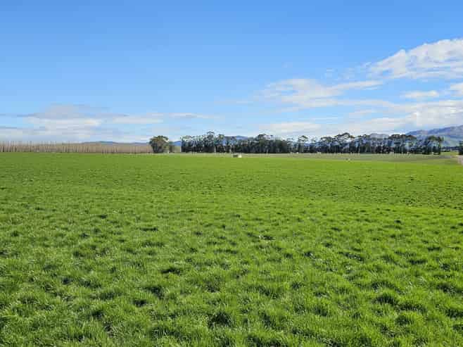 78 and 90 Waimumu Road, Waimumu